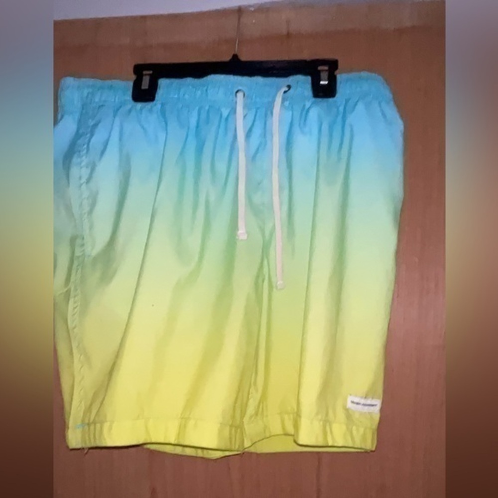 Modern Amusement swim shorts